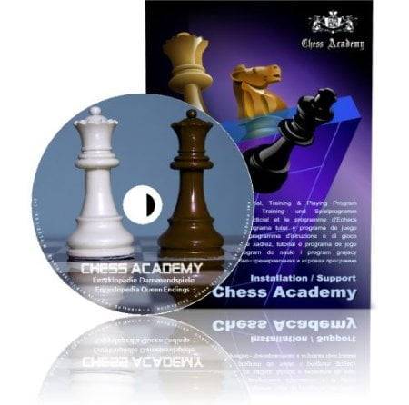 chessacademy-enzyklopaedie-damenendspiele
