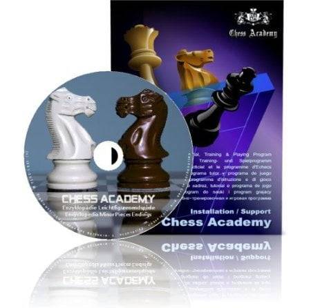 chessacademy-enzyklopaedie-leichtfigurenendspiele