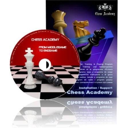 chessacademy-from-middlegame-to-endgame
